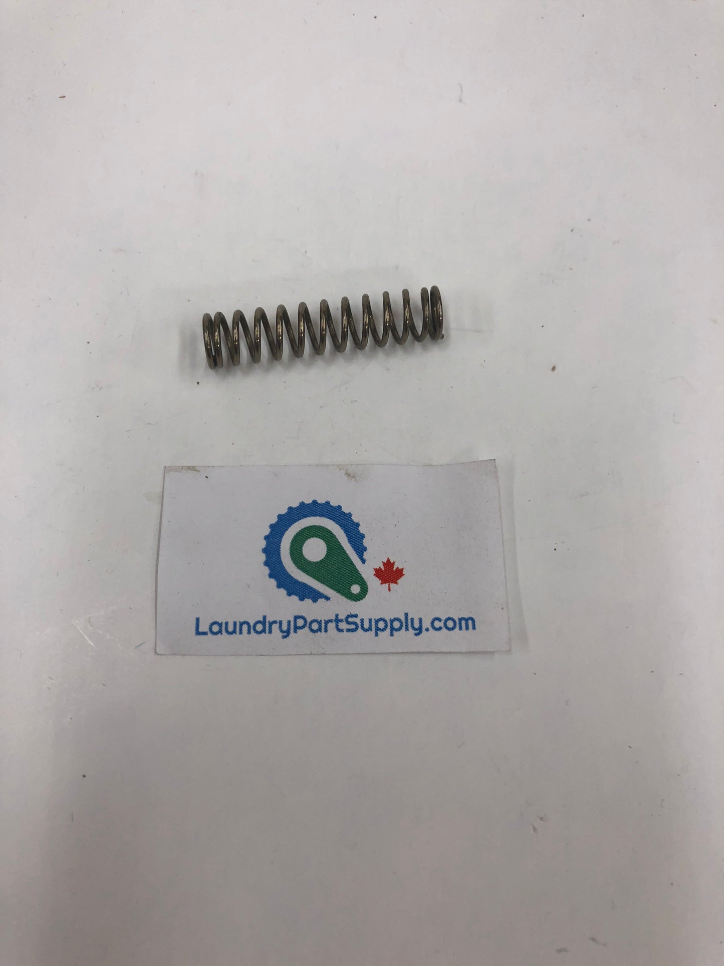 CLOTH HOLDER SPRING